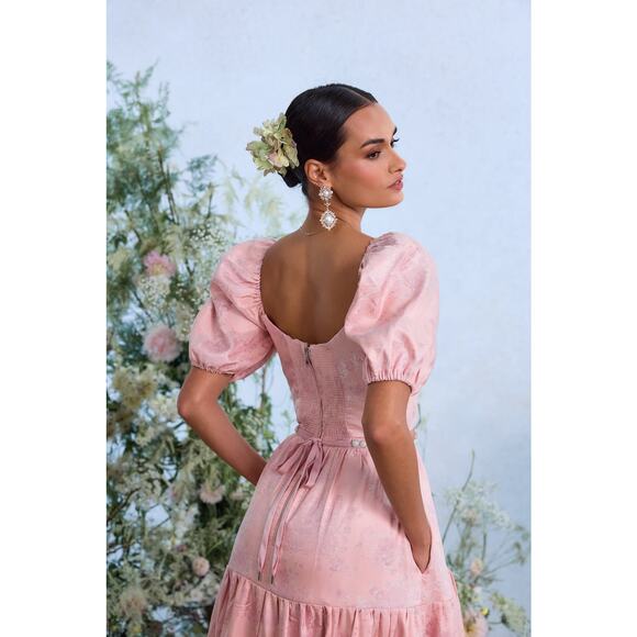 V. Chapman Anthropologie Pink Maxi Dress - Picture 5 of 13